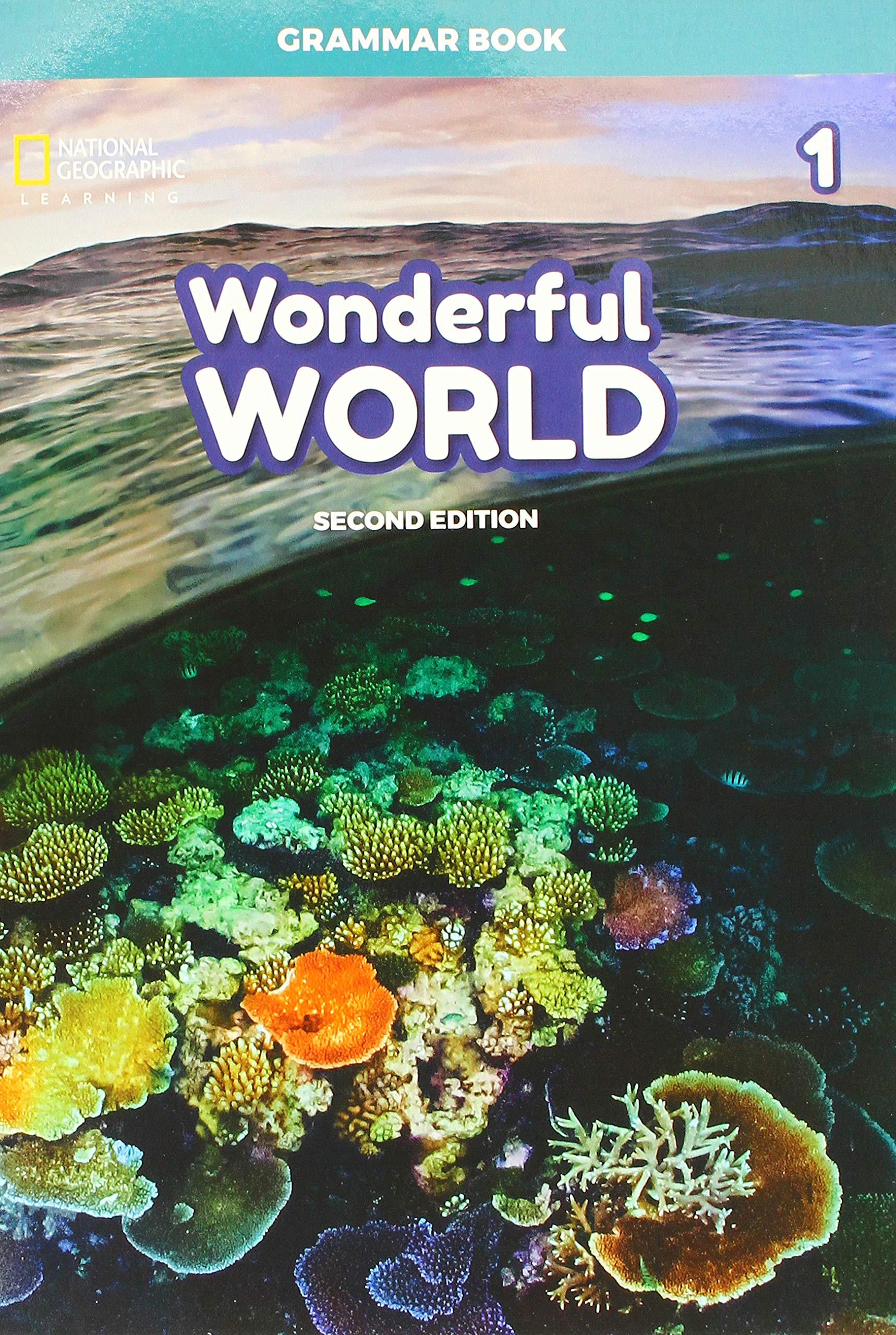 wonderfulworld1grammarbook
