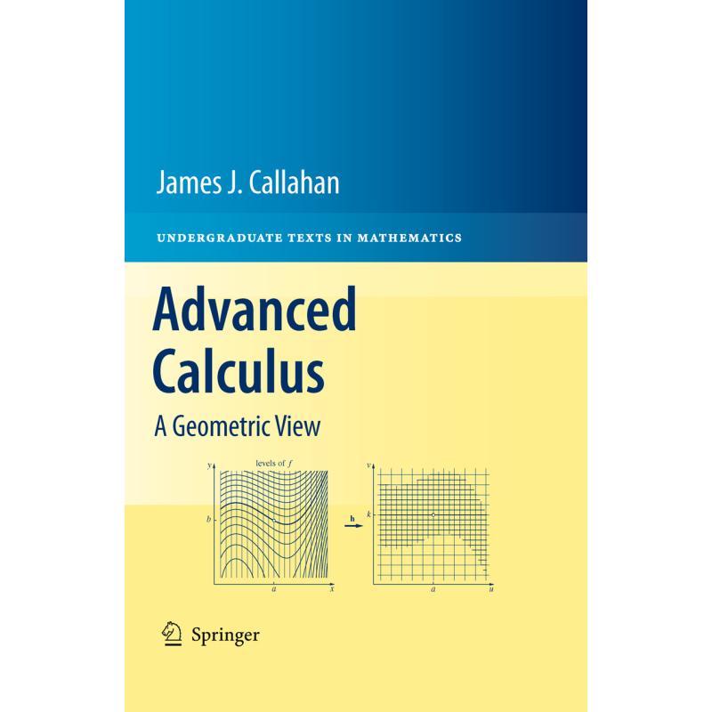 Advanced Calculus : A Geometric View - ISBN13:9781441973313 - 澜瑞外文-网上购买 ...