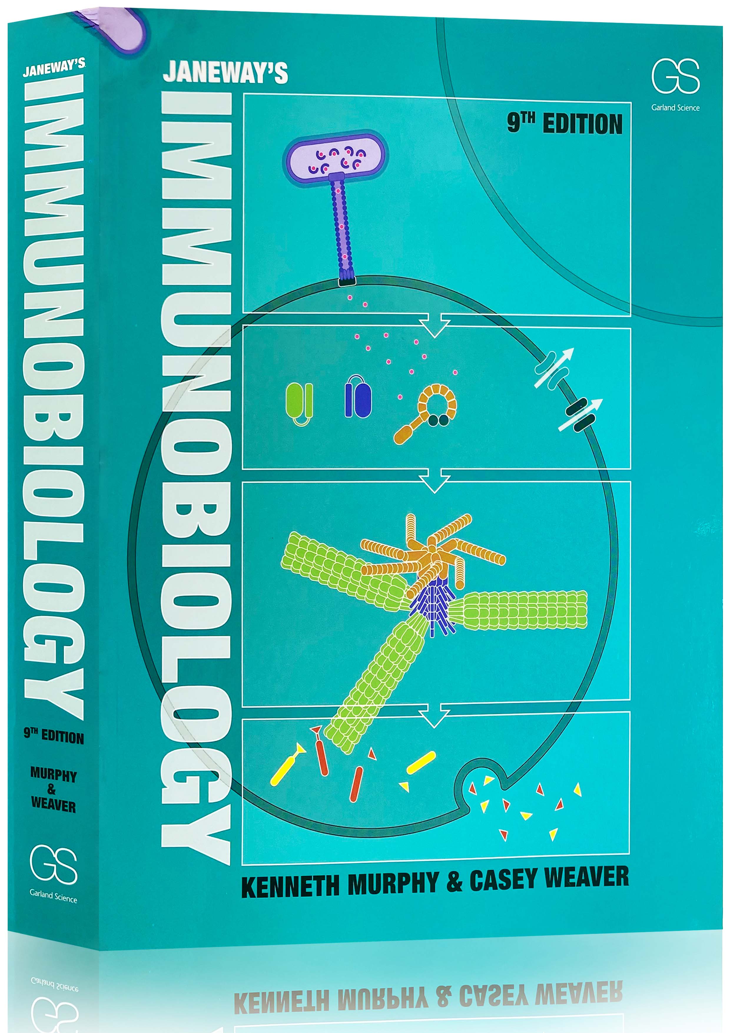 Janeway's Immunobiology 9th Edition - ISBN13:9780815345510 - 澜瑞