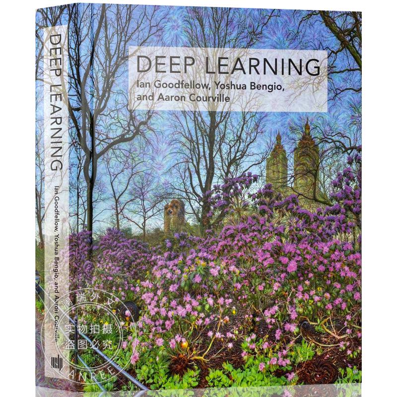 Deep Learning - ISBN13:9780262035613 - 澜瑞外文-网上购买外文原版进口图书 LANREE
